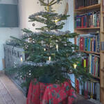 unser Weihnachtsbaum 2025, Nordmanntanne mit silbernen Kugeln