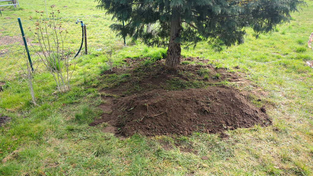 Bild mit ihrer Grabstelle